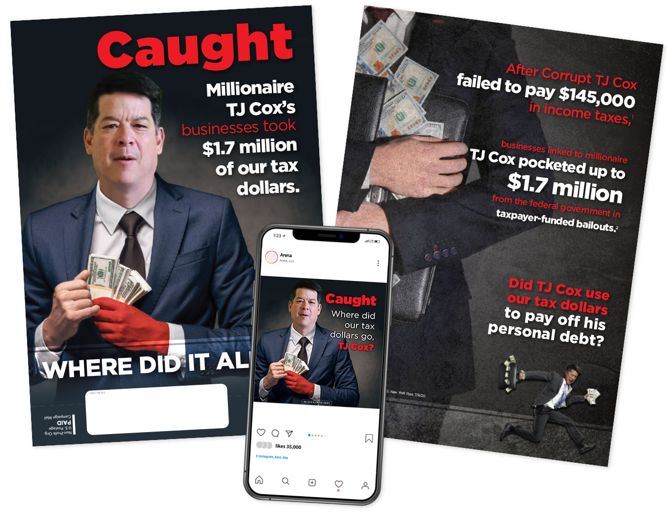 Arena's expert campaign consulting team executed a multi-channel strategy to help David Valadao defeat TJ Cox