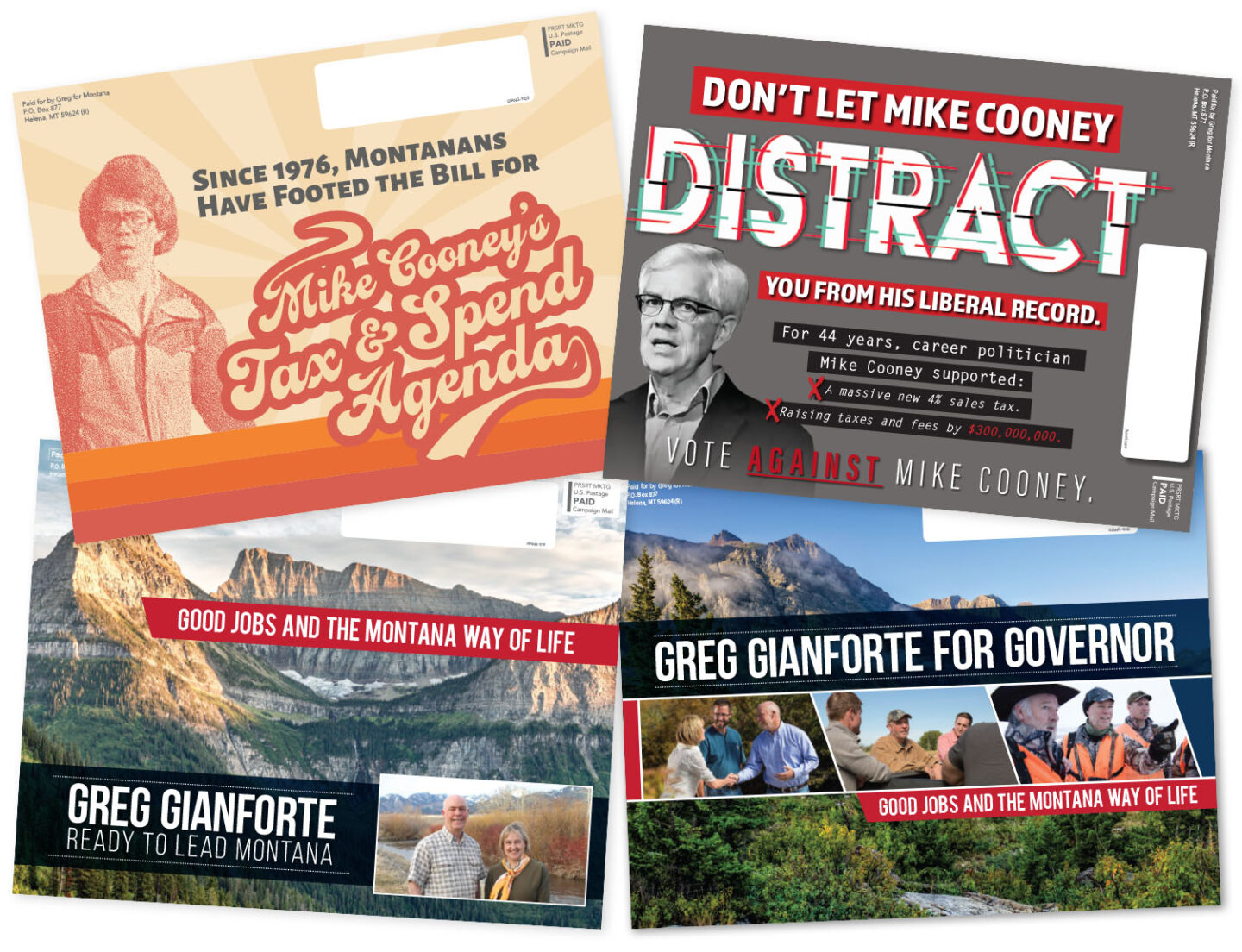 These are samples of targeted political advertising from Arena, America's #1 direct voter contact agency for GOP campaigns.