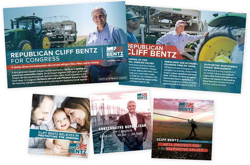 Arena voter contact voter targeting and political media buying for mail and digital is second to none